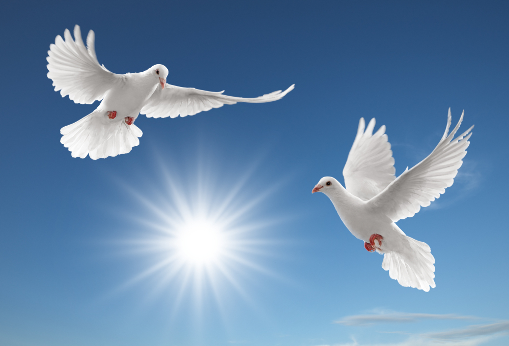 陜西太陽(yáng)景環(huán)?？萍加邢薰炯庸S(chǎng)業(yè)務(wù)承攬公告